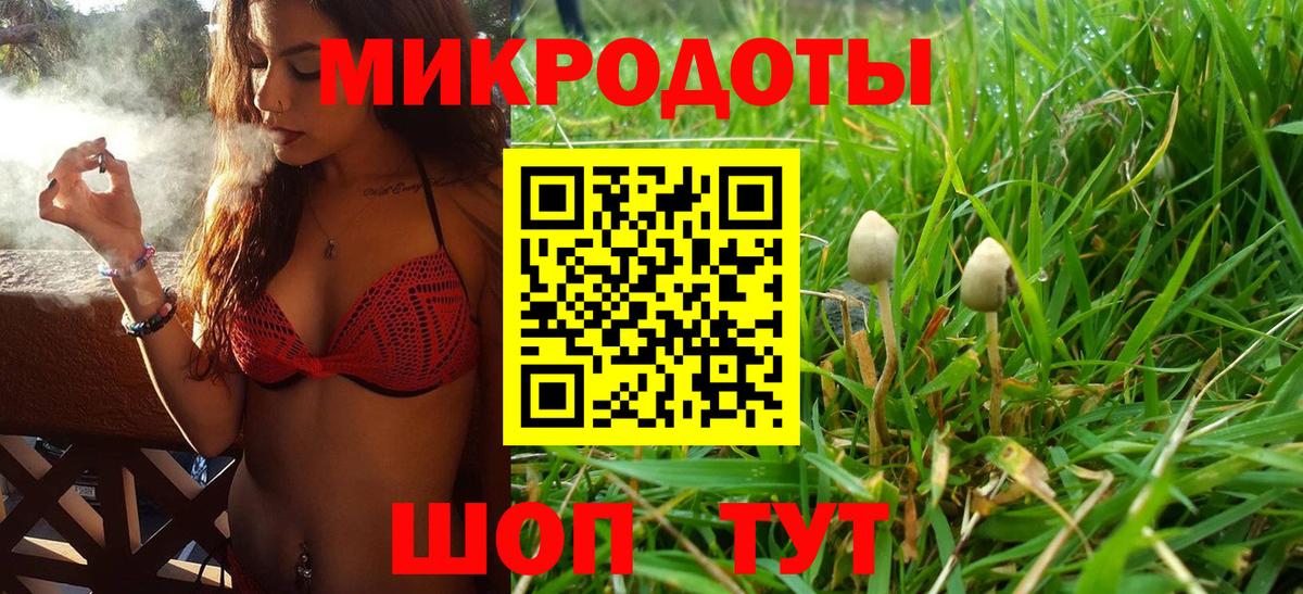 Осинники  Галлюциногенные грибы прущие грибы  Вход с VPN  Галлюциногенные грибы Psilocybe 