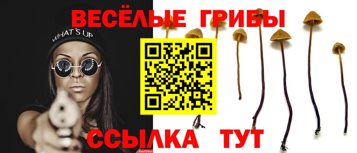 Галлюциногенные грибы мухоморы Осинники