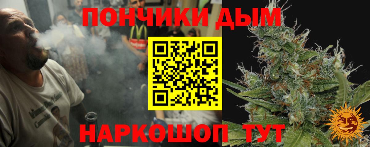 Каннабис индика Осинники